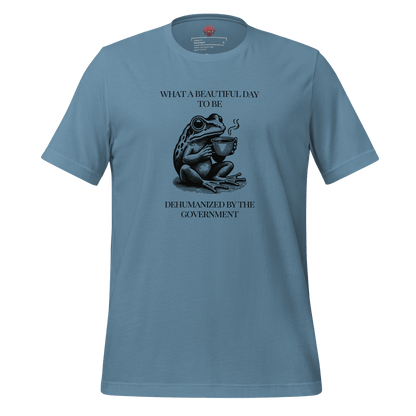 Beautiful Day - Unisex Cotton Tee - activism - political - shirt - Numbskullz