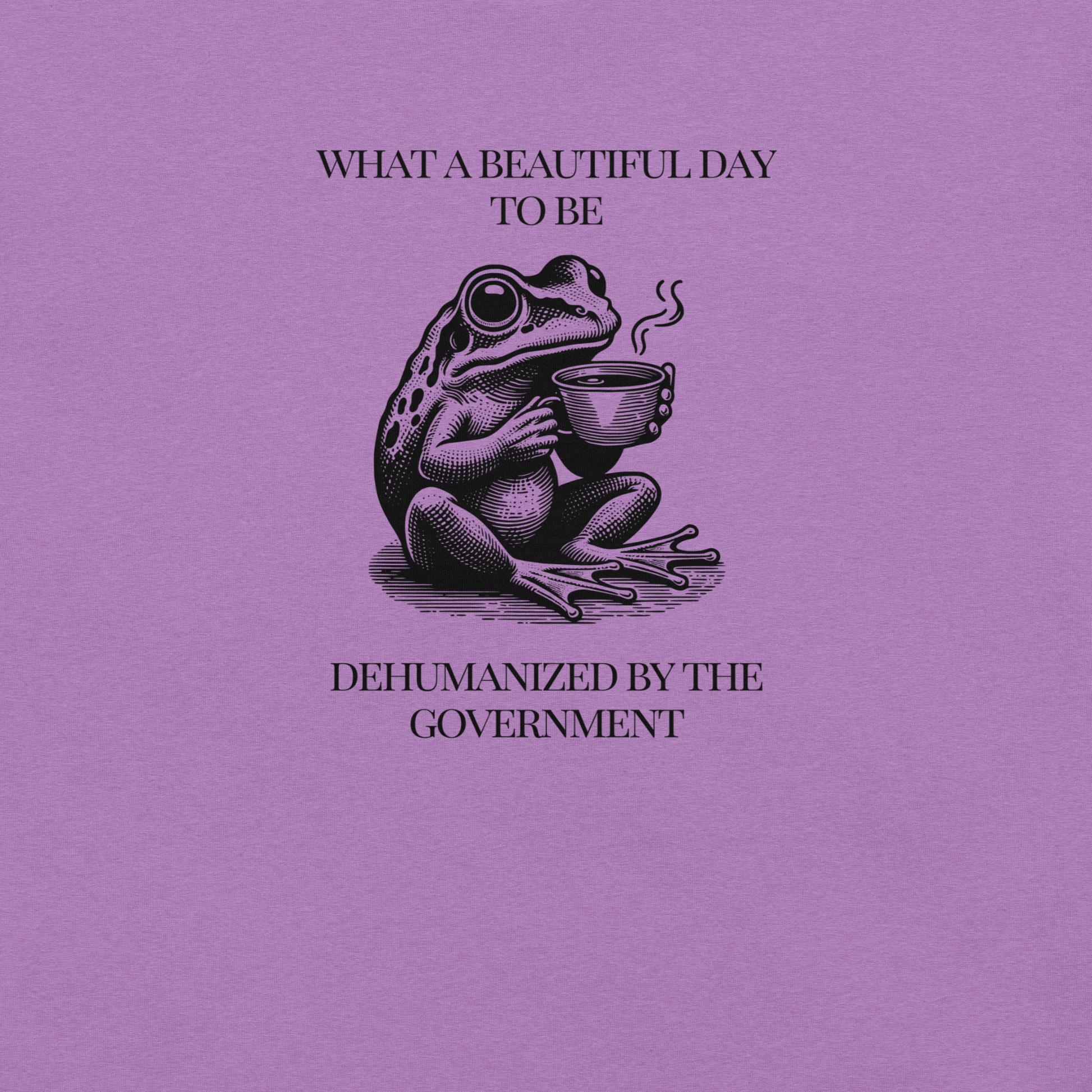 Beautiful Day - Unisex Cotton Tee - activism - political - shirt - Numbskullz