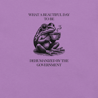 Beautiful Day - Unisex Cotton Tee - activism - political - shirt - Numbskullz