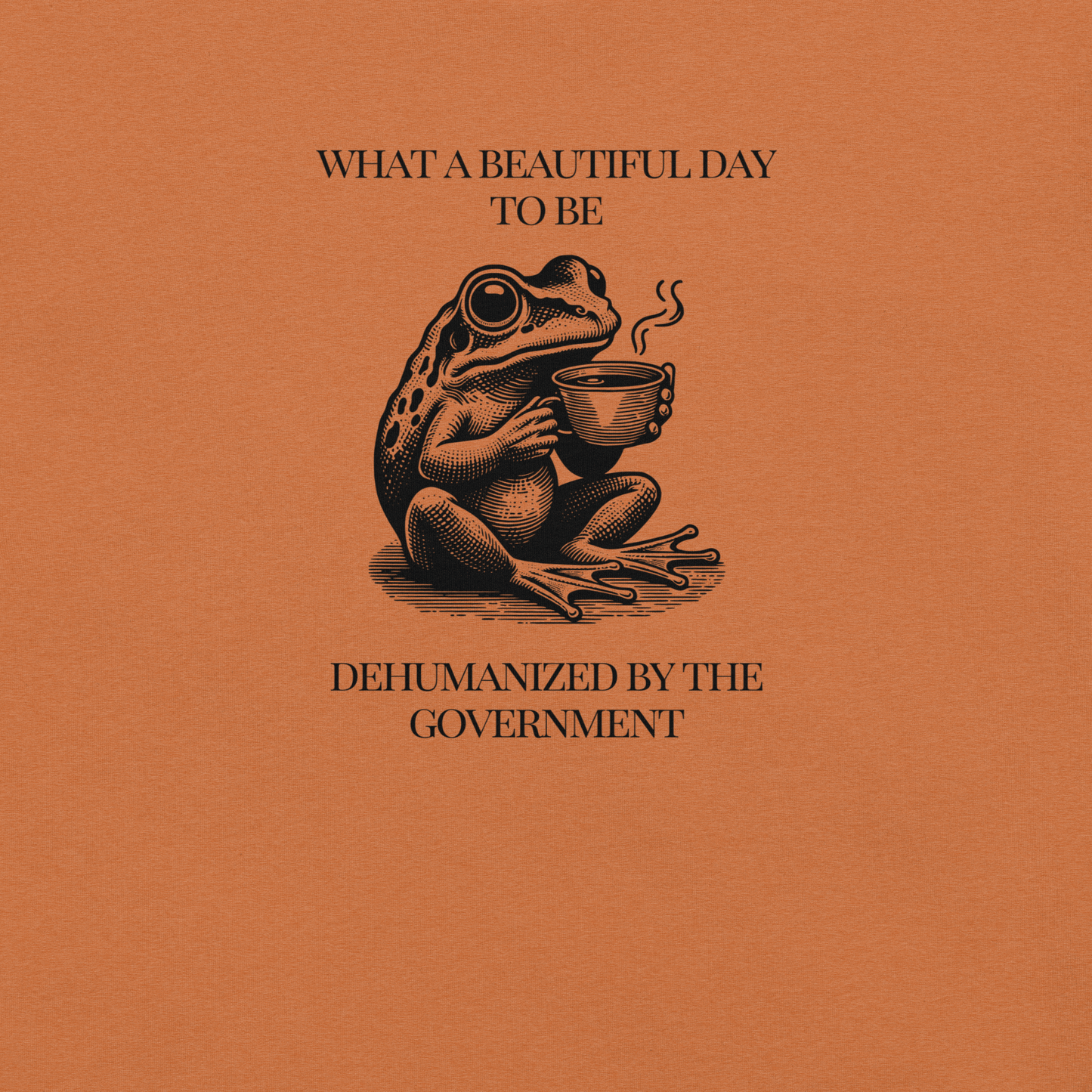 Beautiful Day - Unisex Cotton Tee - activism - political - shirt - Numbskullz