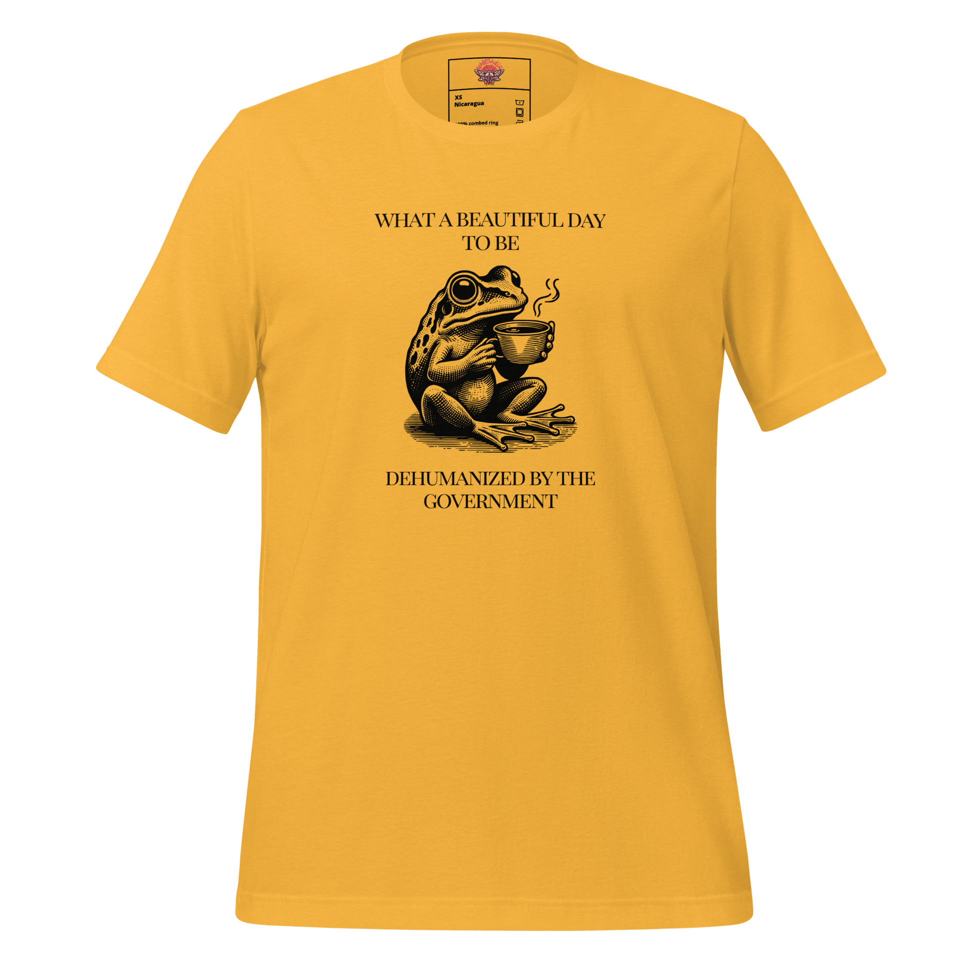 Beautiful Day - Unisex Cotton Tee - activism - political - shirt - Numbskullz