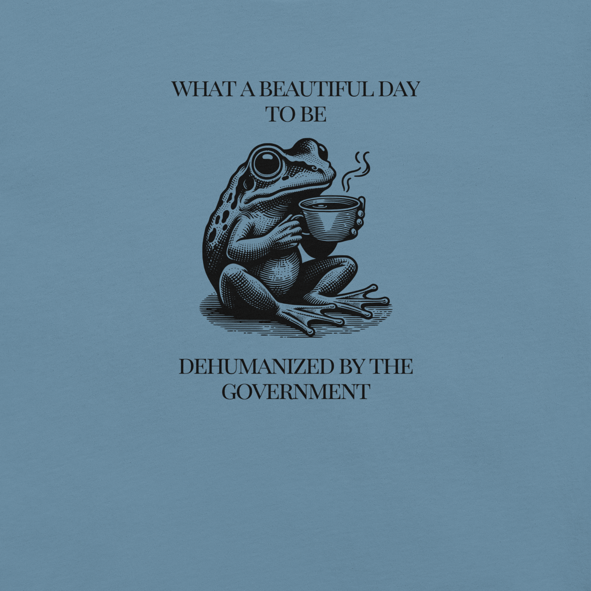 Beautiful Day - Unisex Cotton Tee - activism - political - shirt - Numbskullz