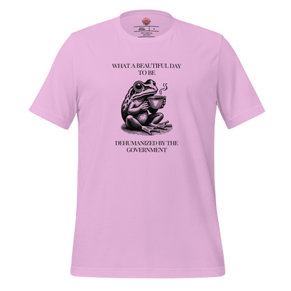 Beautiful Day - Unisex Cotton Tee - activism - political - shirt - Numbskullz