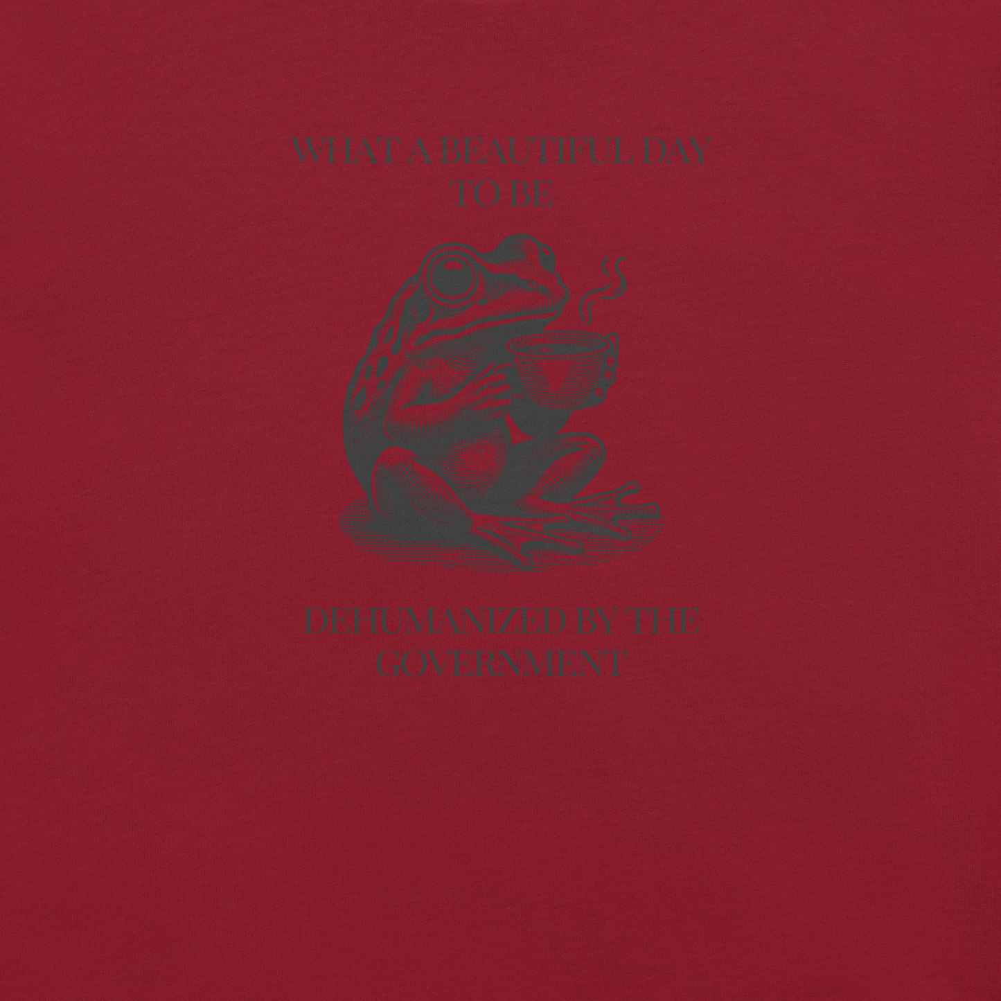 Beautiful Day - Unisex Cotton Tee - activism - political - shirt - Numbskullz