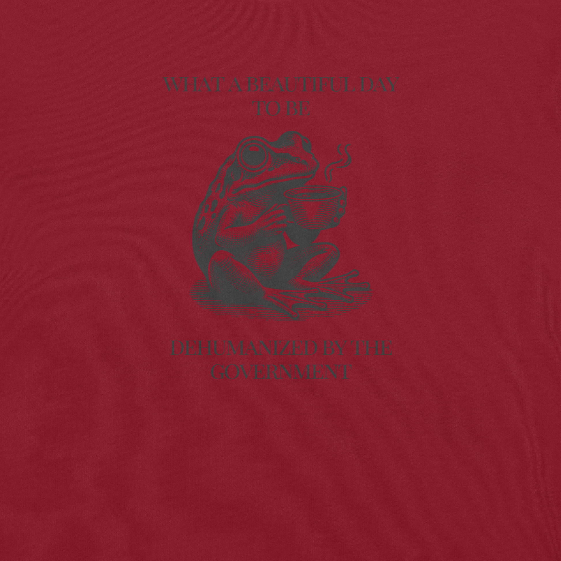 Beautiful Day - Unisex Cotton Tee - activism - political - shirt - Numbskullz