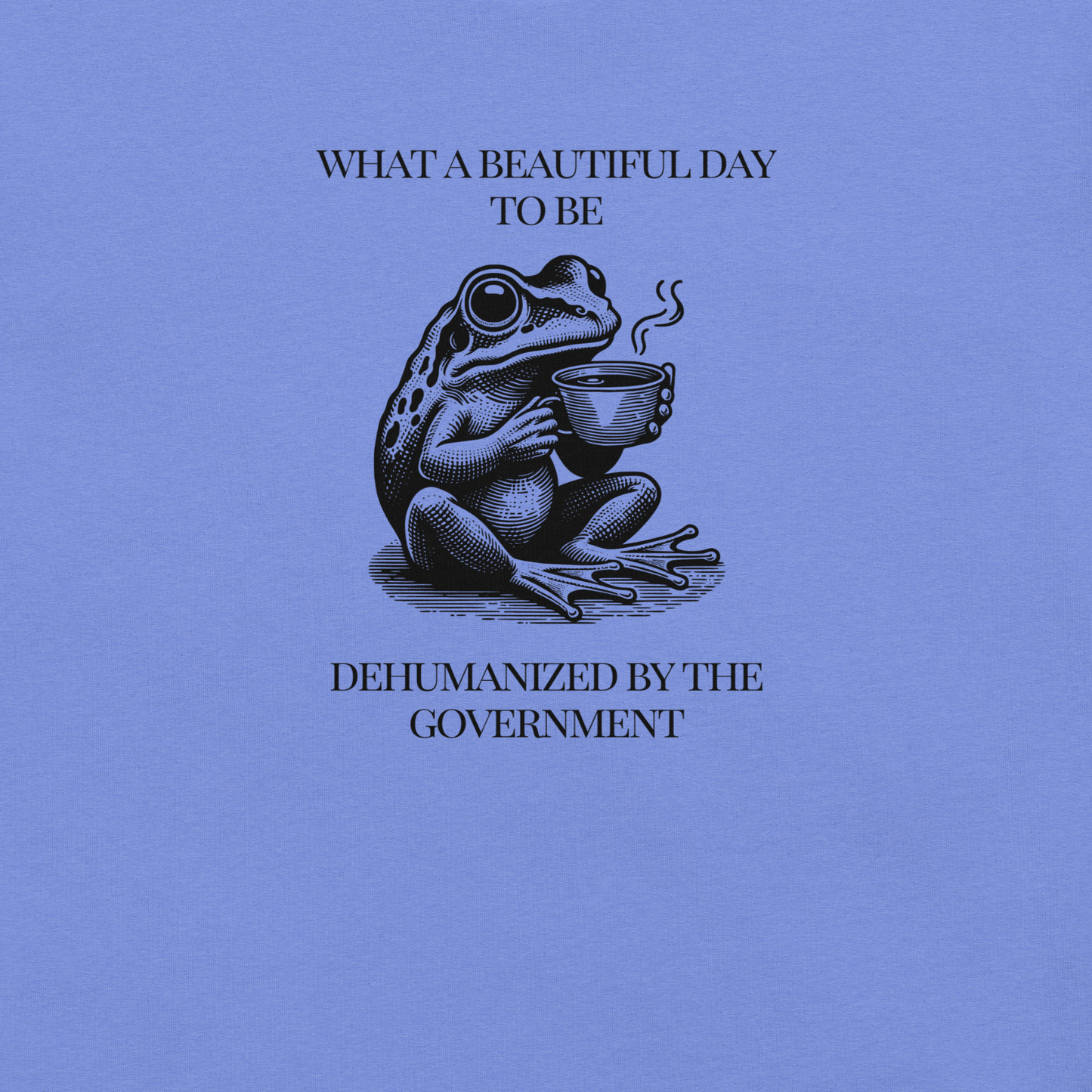 Beautiful Day - Unisex Cotton Tee - activism - political - shirt - Numbskullz