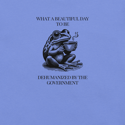 Beautiful Day - Unisex Cotton Tee - activism - political - shirt - Numbskullz