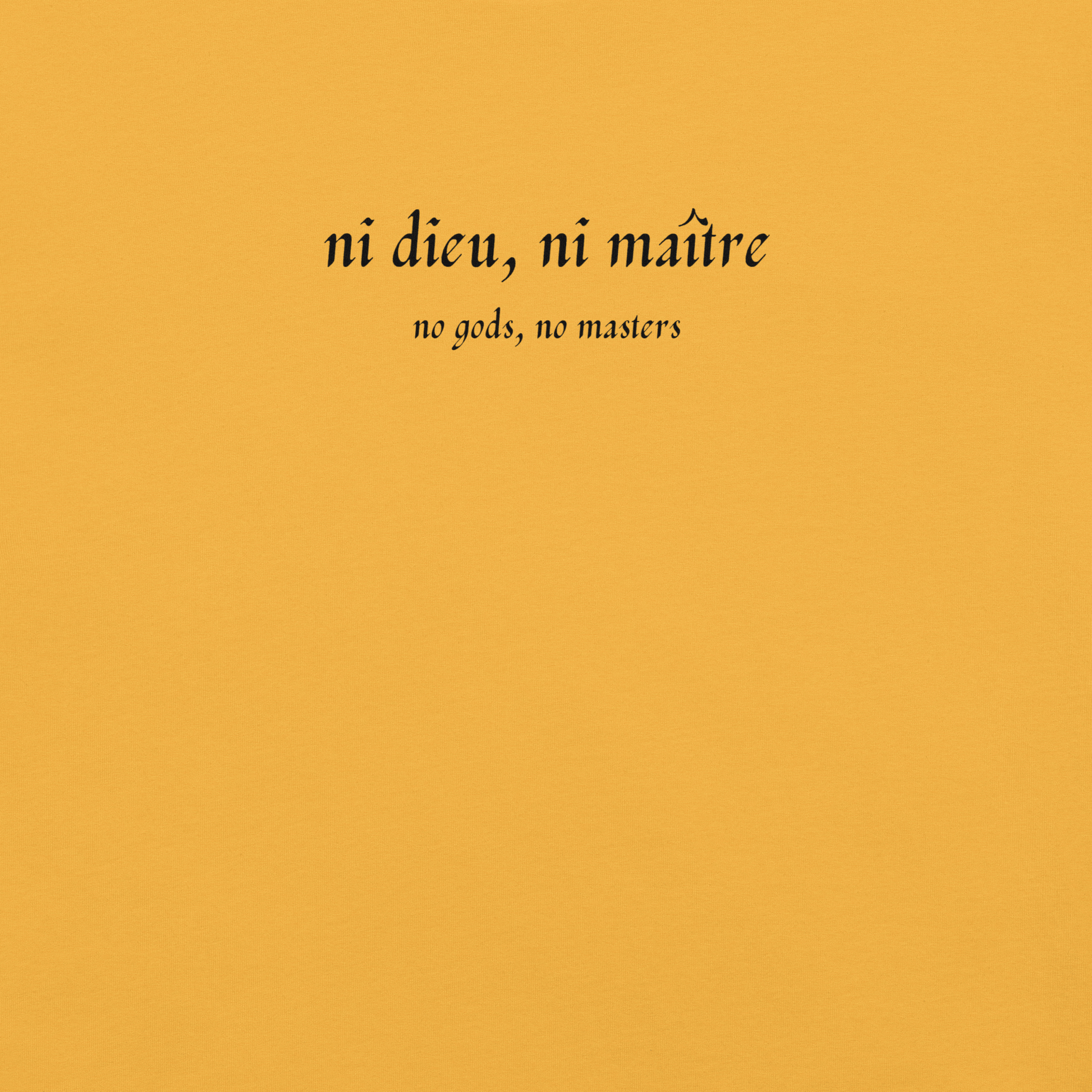 No God/No Master - Unisex Cotton Tee - activism - political - shirt - Numbskullz