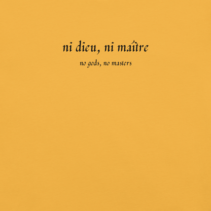 No God/No Master - Unisex Cotton Tee - activism - political - shirt - Numbskullz