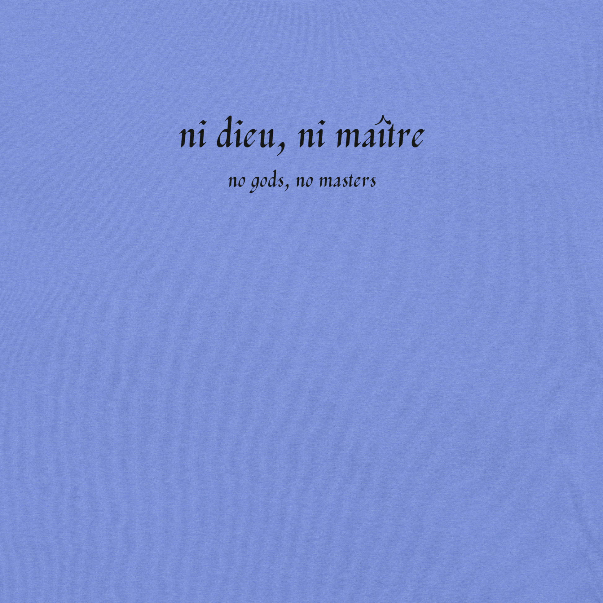 No God/No Master - Unisex Cotton Tee - activism - political - shirt - Numbskullz