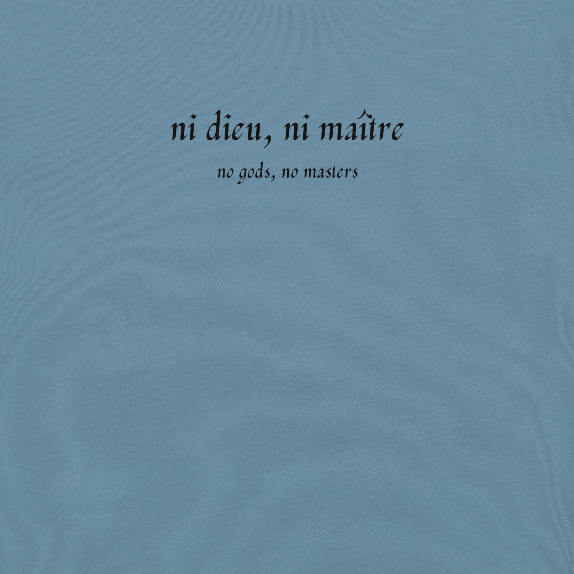 No God/No Master - Unisex Cotton Tee - activism - political - shirt - Numbskullz