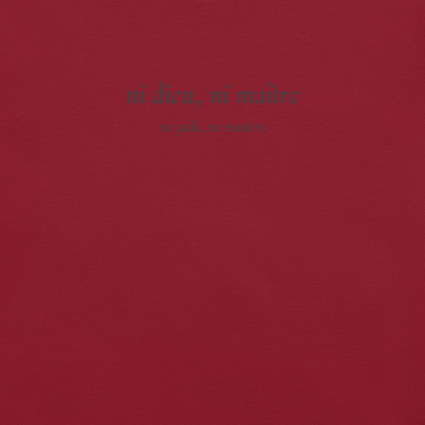 No God/No Master - Unisex Cotton Tee - activism - political - shirt - Numbskullz