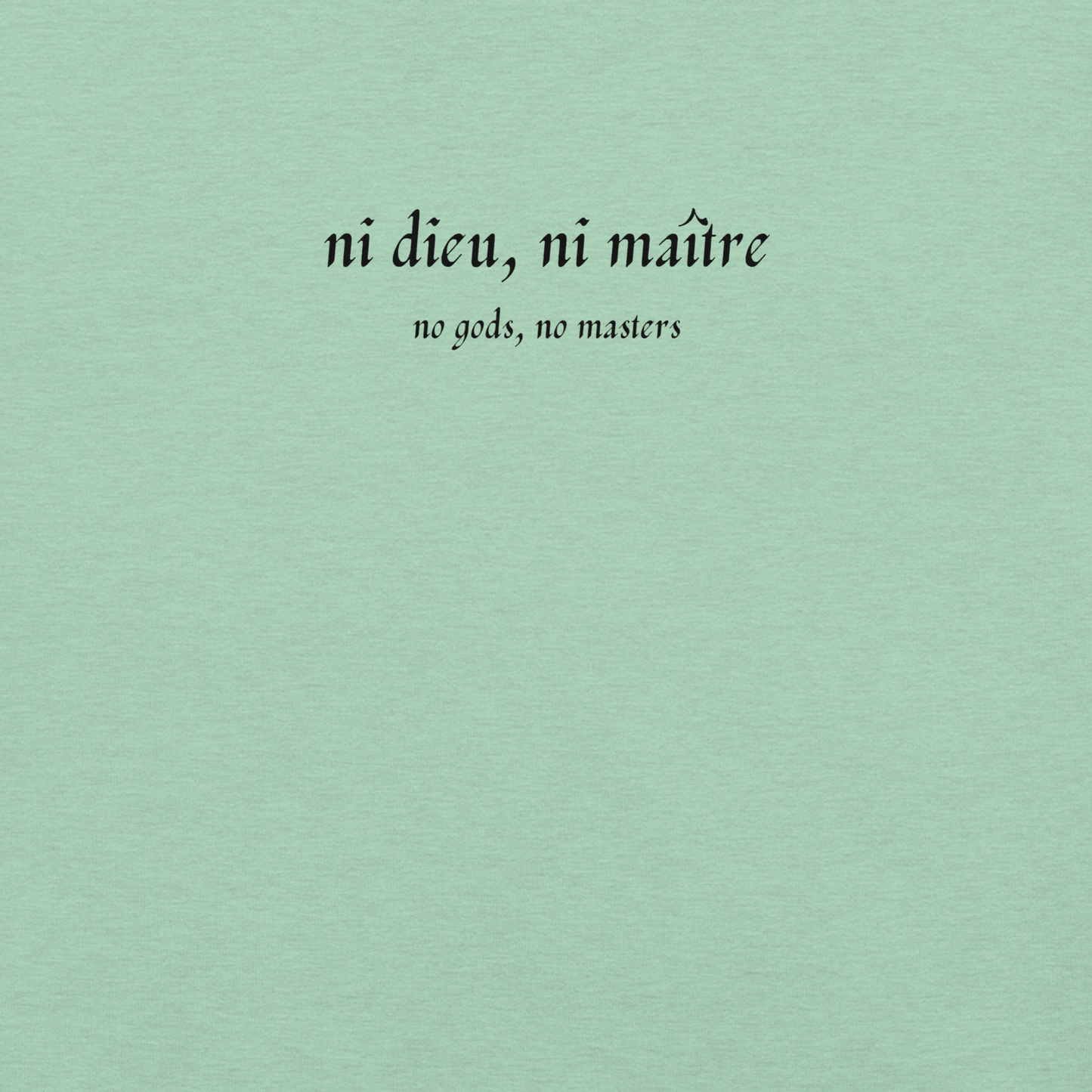 No God/No Master - Unisex Cotton Tee - activism - political - shirt - Numbskullz