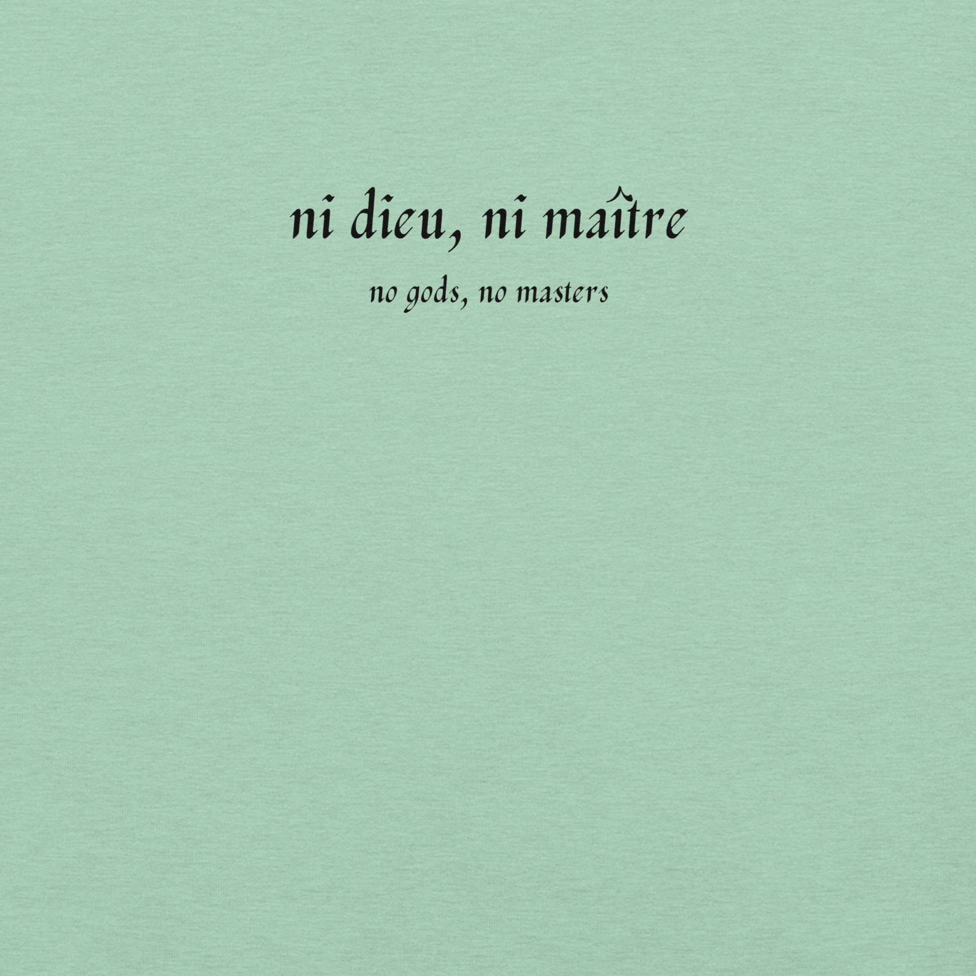 No God/No Master - Unisex Cotton Tee - activism - political - shirt - Numbskullz