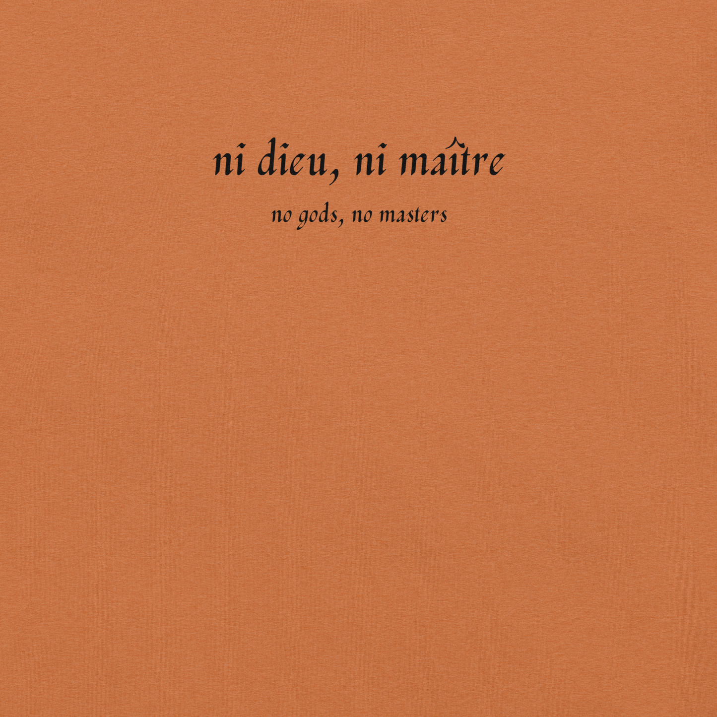 No God/No Master - Unisex Cotton Tee - activism - political - shirt - Numbskullz