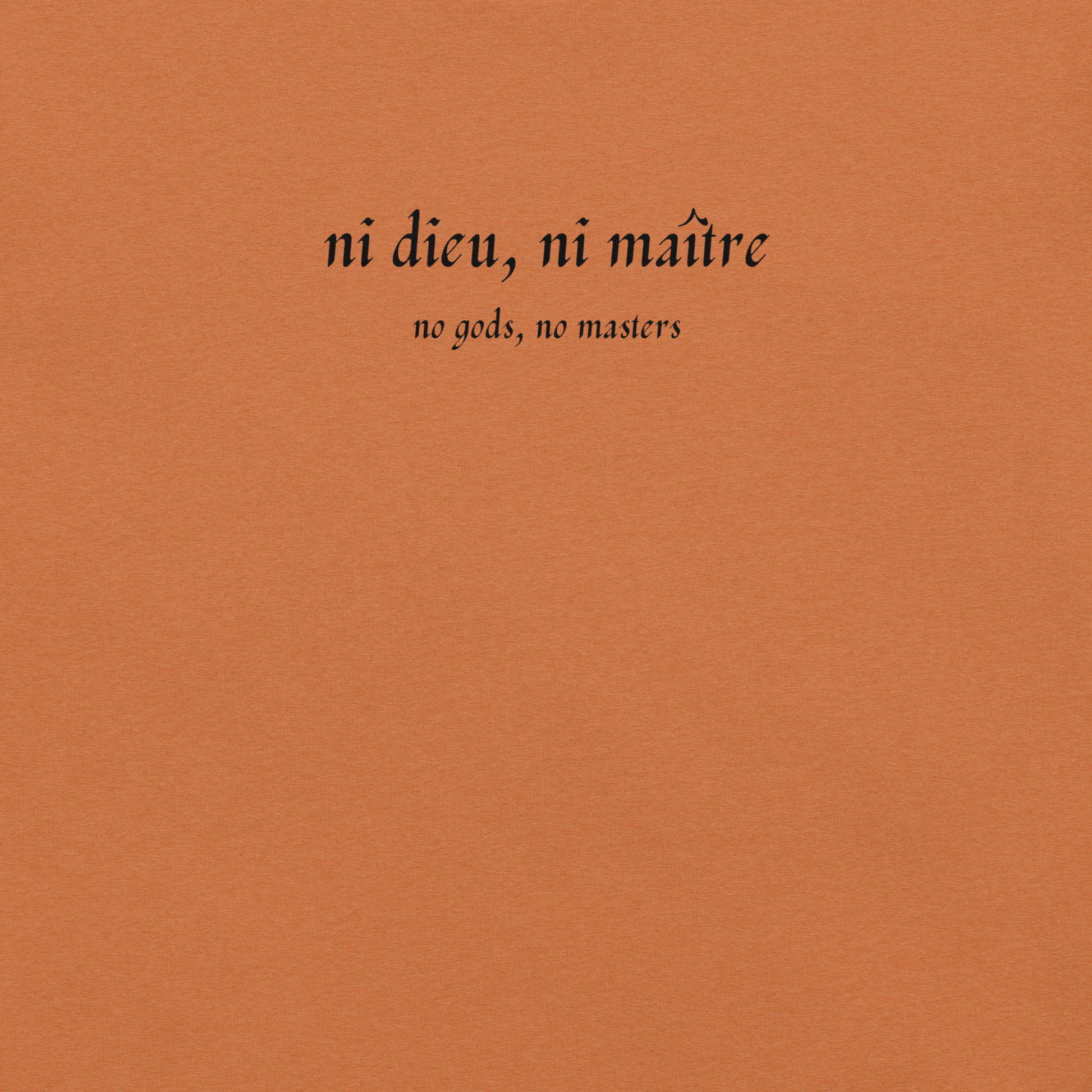 No God/No Master - Unisex Cotton Tee - activism - political - shirt - Numbskullz