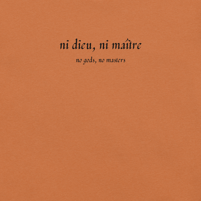 No God/No Master - Unisex Cotton Tee - activism - political - shirt - Numbskullz