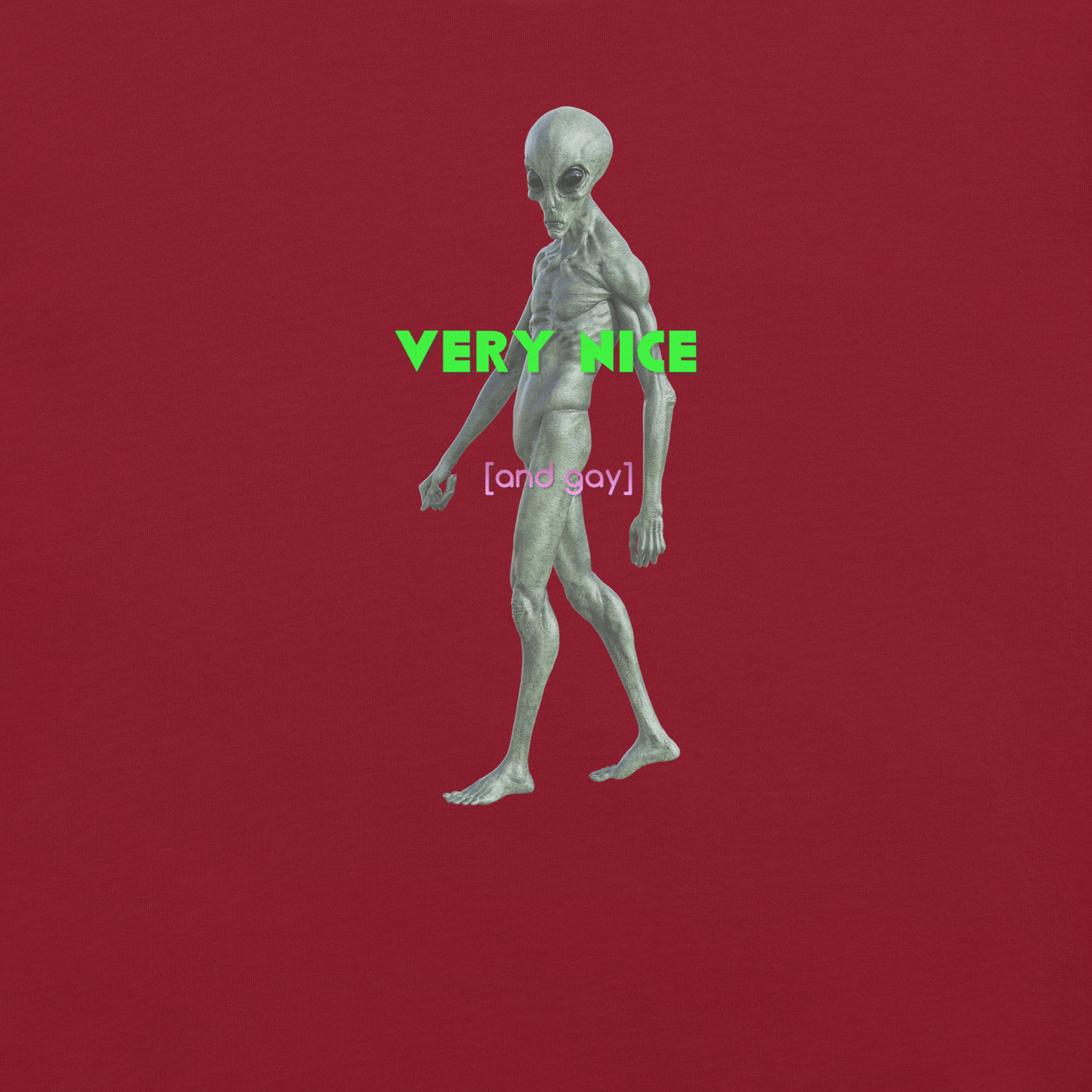 Very Nice - Unisex Cotton Tee - lgbtq - Pride - shirt - Numbskullz