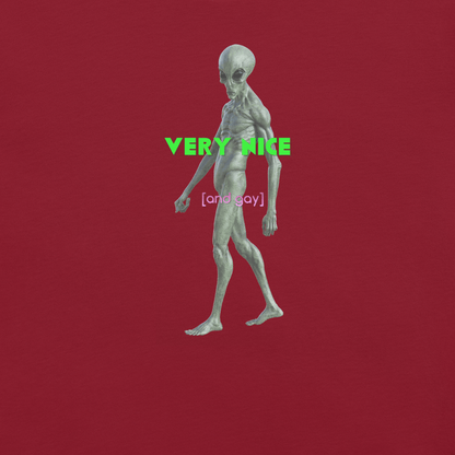 Very Nice - Unisex Cotton Tee - lgbtq - Pride - shirt - Numbskullz